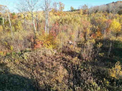 000 Black North Road Acworth NH 03601