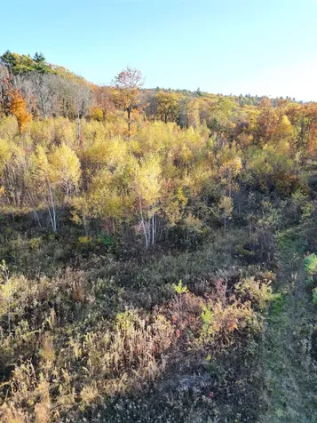 000 Black North Road Acworth NH 03601