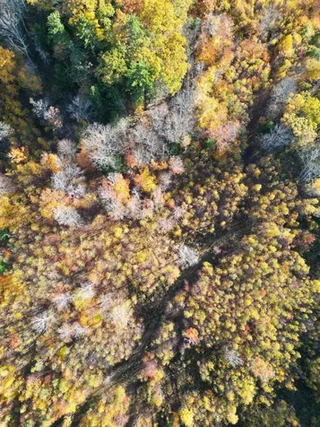 000 Black North Road Acworth NH 03601