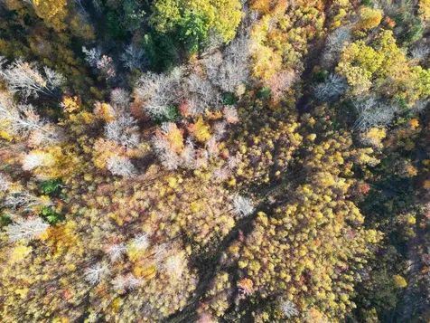 000 Black North Road Acworth NH 03601