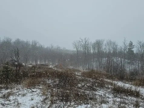 000 Black North Road Acworth NH 03601