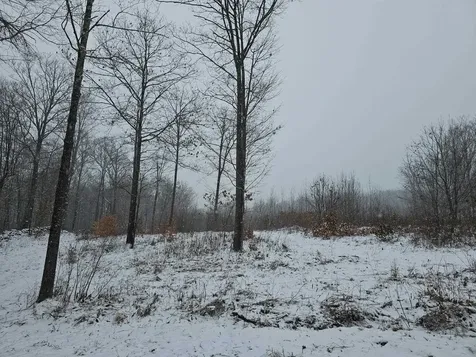 000 Black North Road Acworth NH 03601