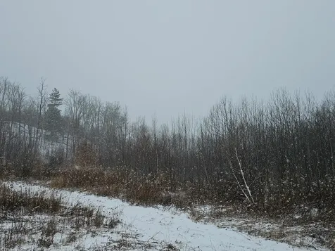 000 Black North Road Acworth NH 03601