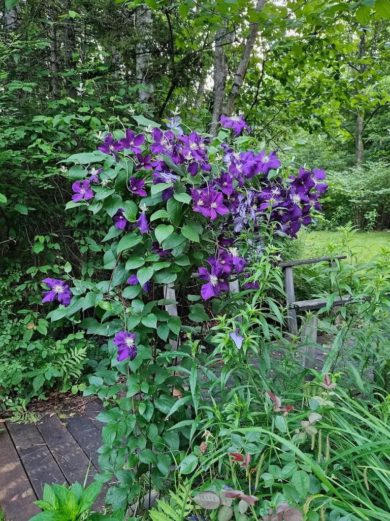 24 Willaby Colby Lane Warner NH 03278