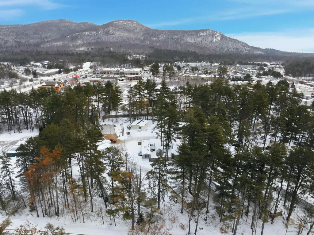 64 O'keefe Circle Conway NH 03860