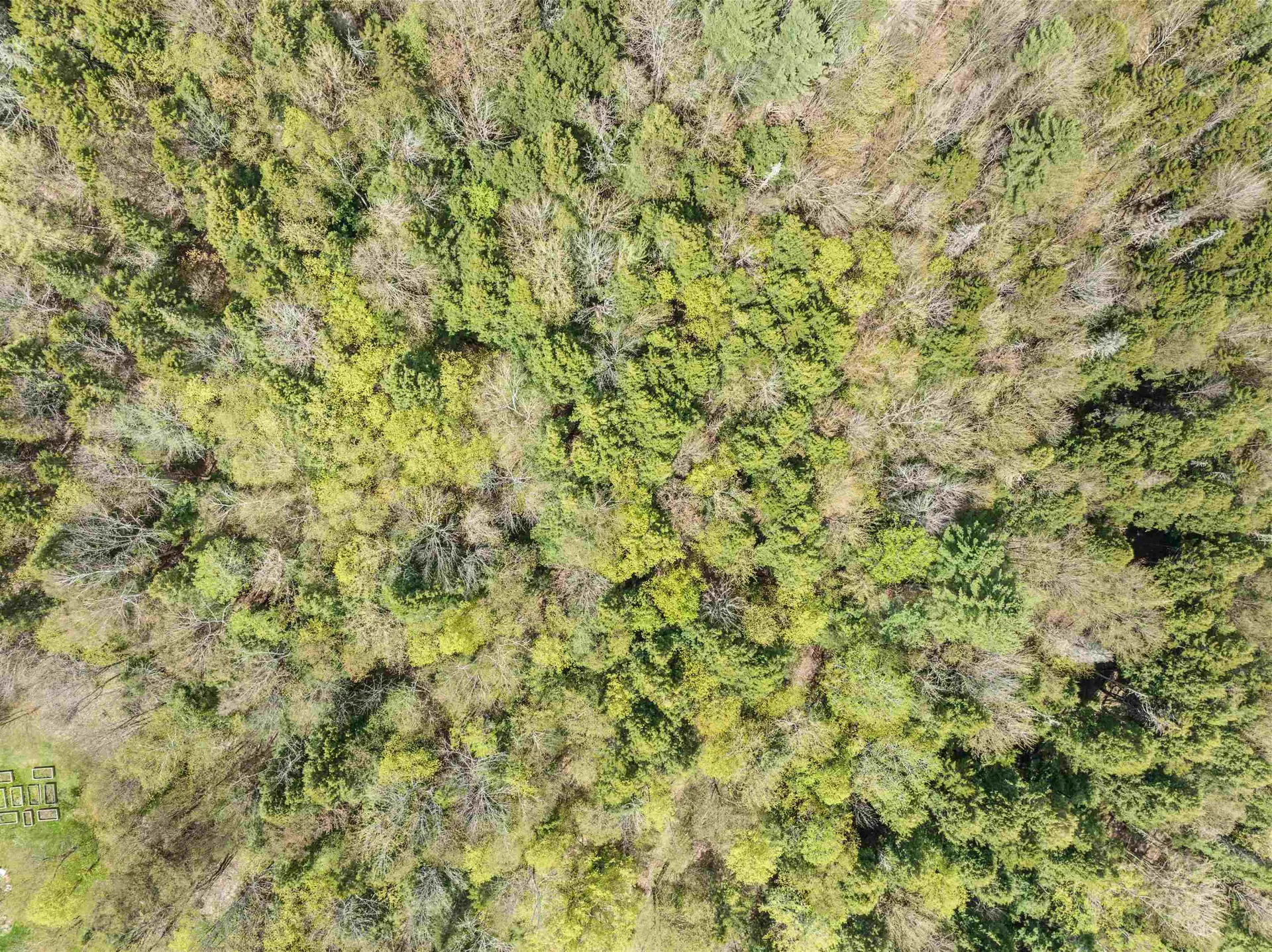 932 Mud City Loop Morristown VT 05661