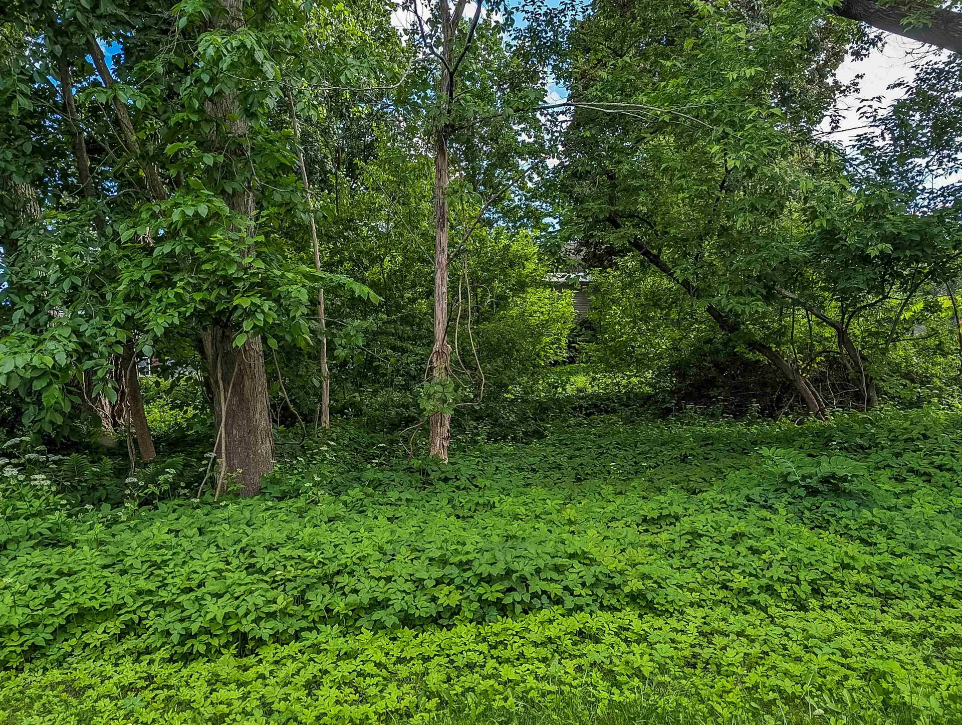 98 Carroll Street Keene NH 03431