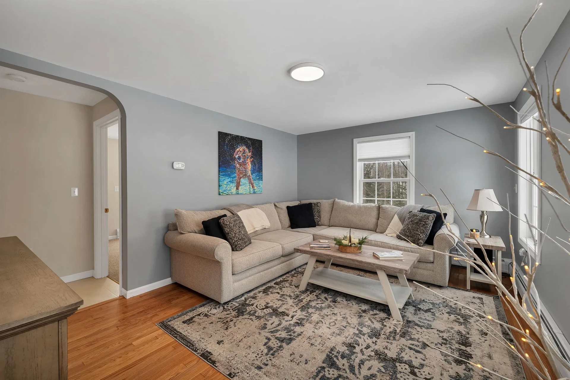 56 Frohock Brook Road Alton NH 03810