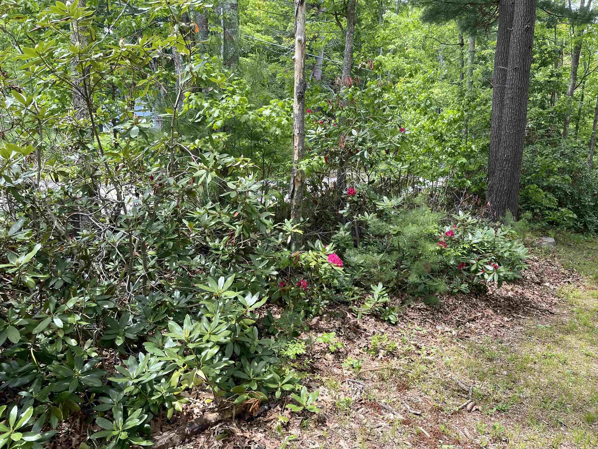 209 Mallego Road Barrington NH 03825