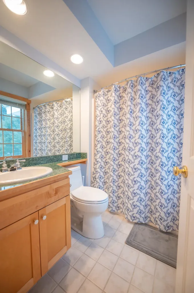 43C Dover Springs Lane Dover VT 05356