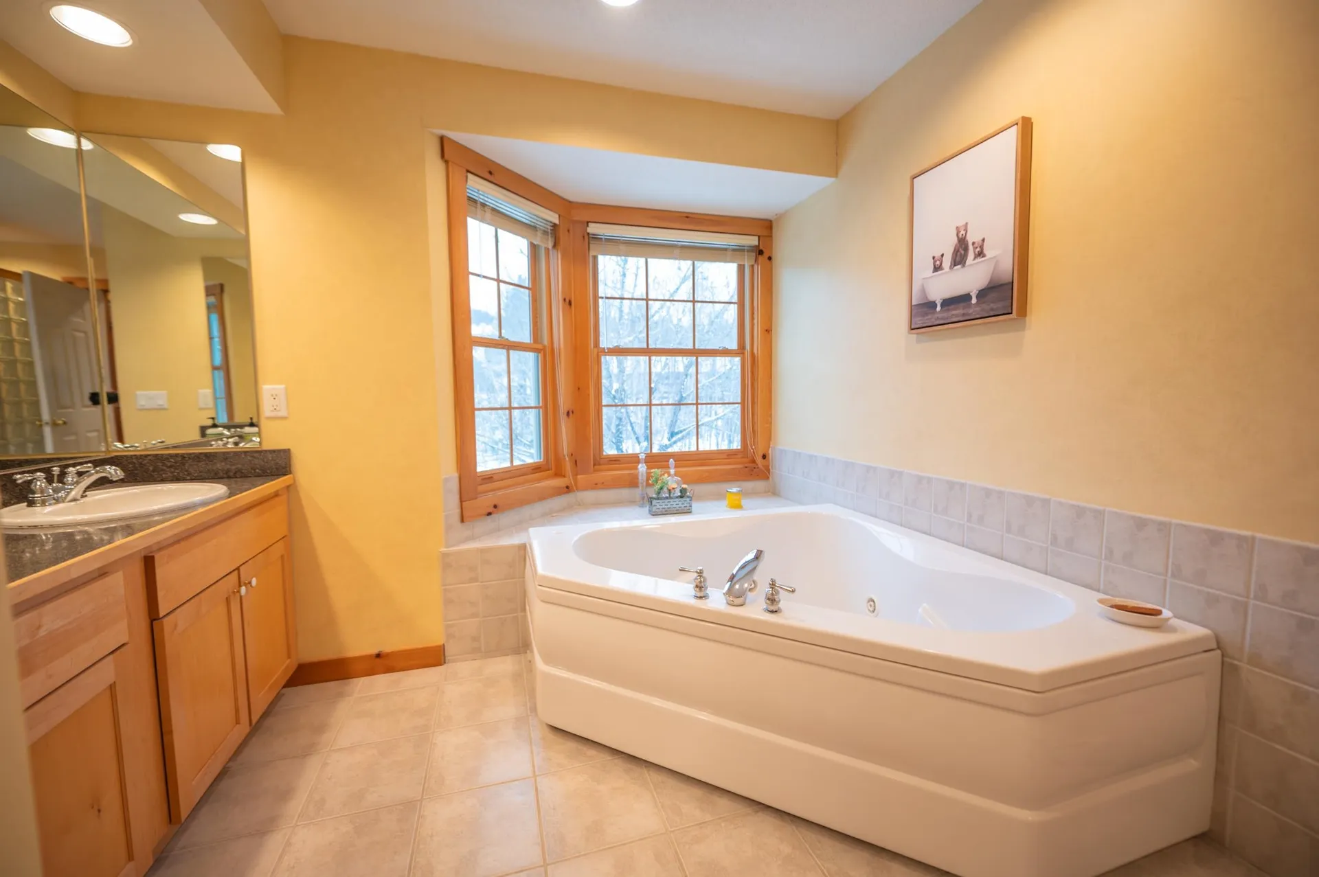 43C Dover Springs Lane Dover VT 05356