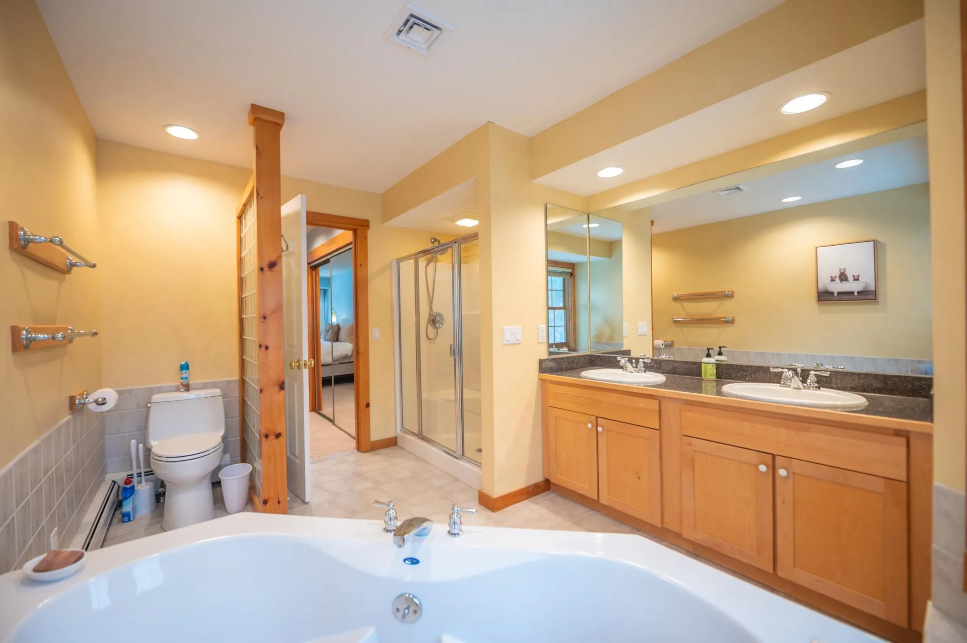 43C Dover Springs Lane Dover VT 05356