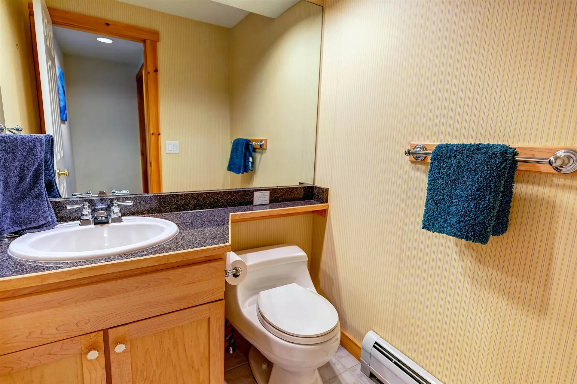 43C Dover Springs Lane Dover VT 05356