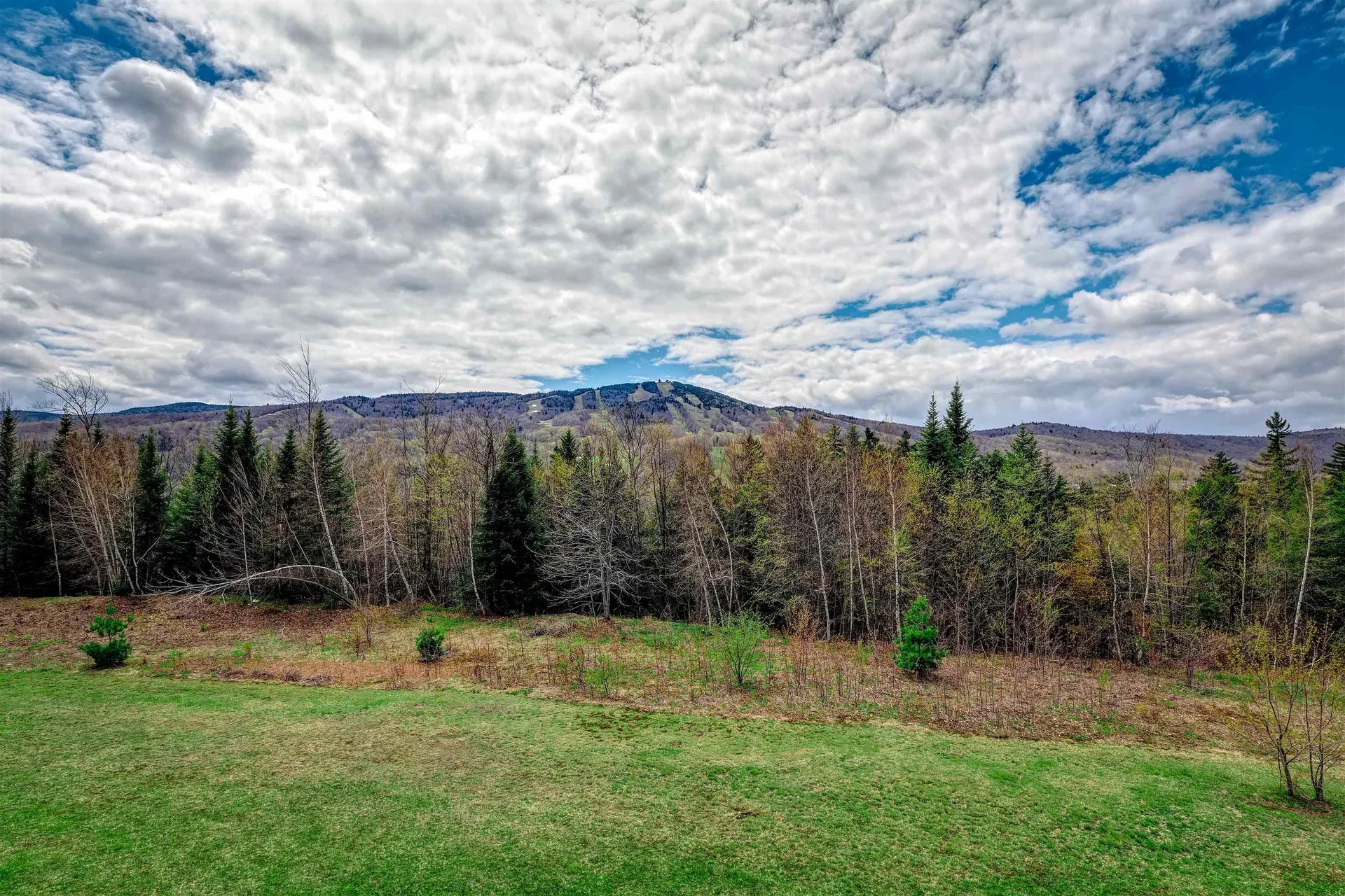 43C Dover Springs Lane Dover VT 05356