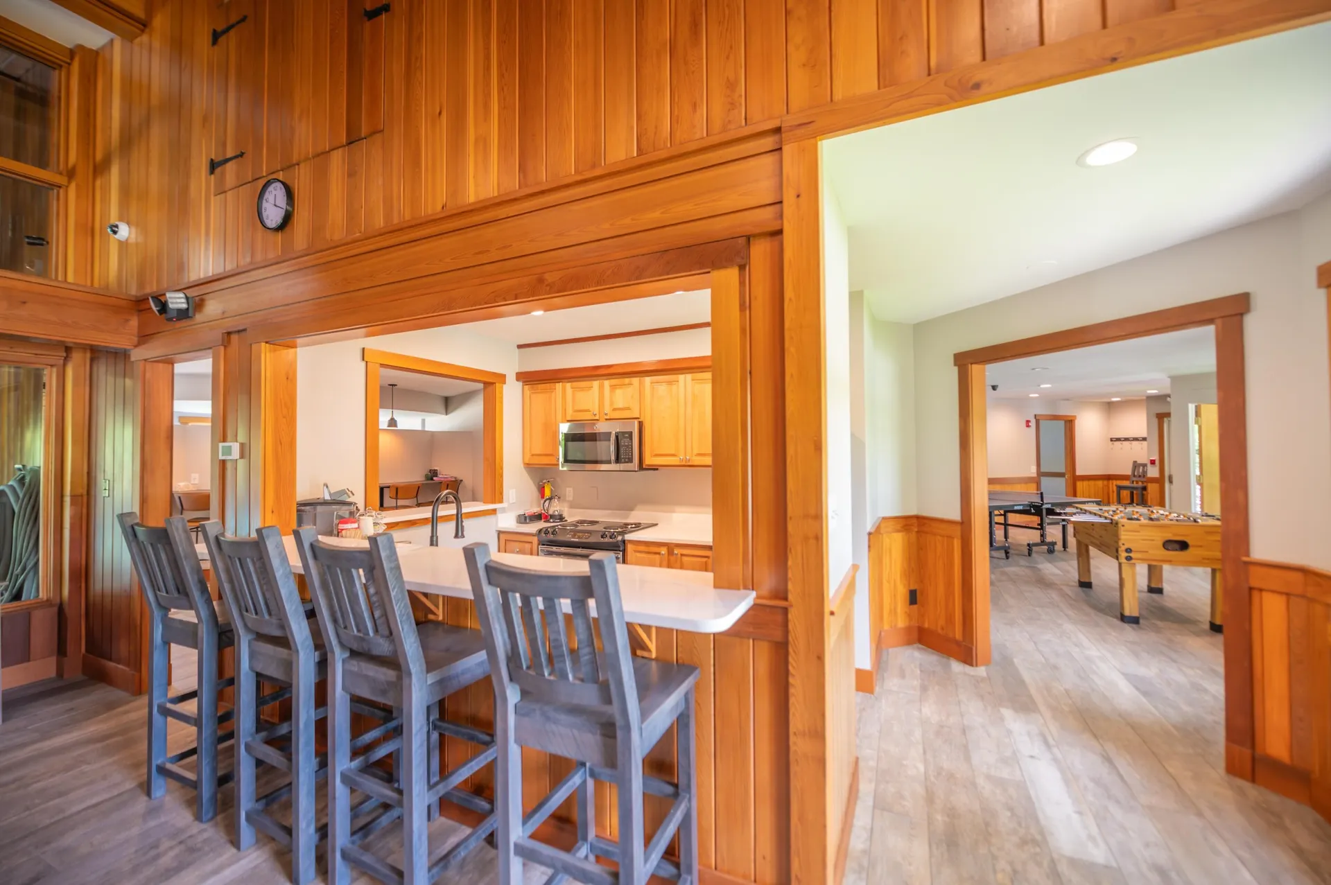43C Dover Springs Lane Dover VT 05356