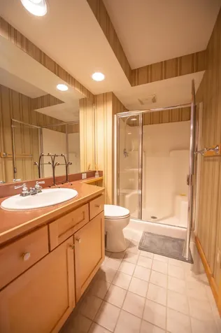 43C Dover Springs Lane Dover VT 05356