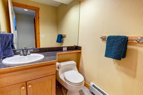 43C Dover Springs Lane Dover VT 05356