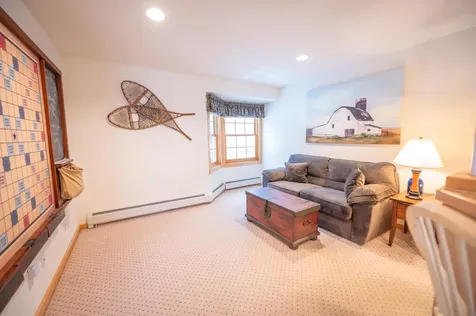 43C Dover Springs Lane Dover VT 05356