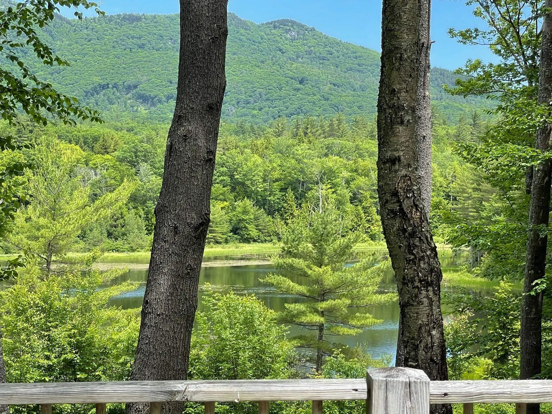 1279 Route 113 Holderness NH 03245