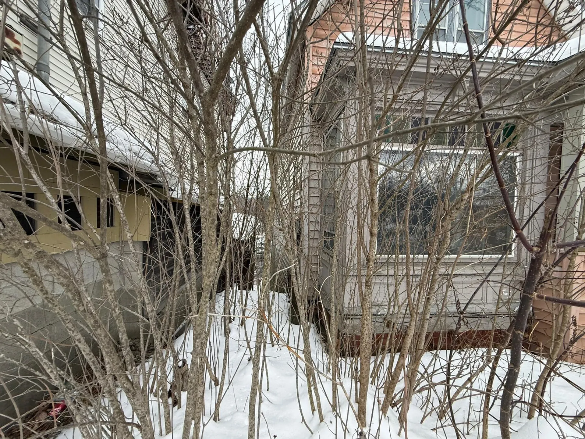 12 Pleasant Street Randolph VT 05060