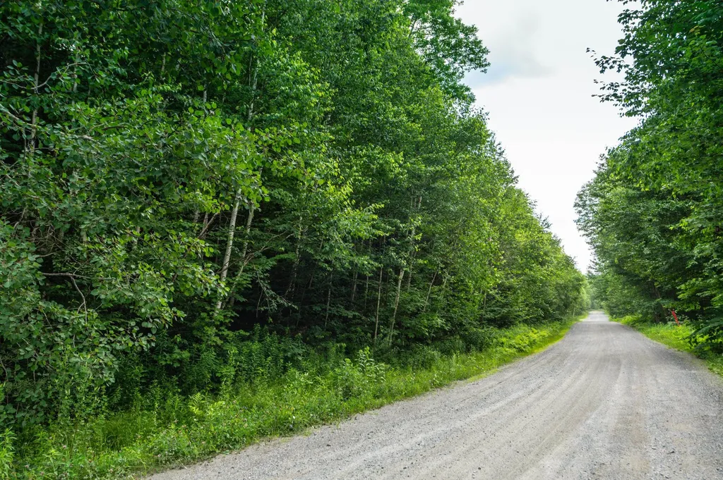 31 Woodsman Road Dover VT 05356