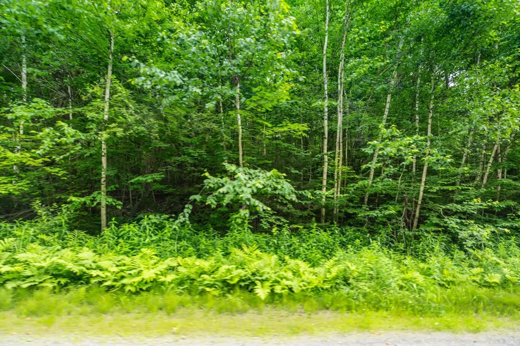 31 Woodsman Road Dover VT 05356