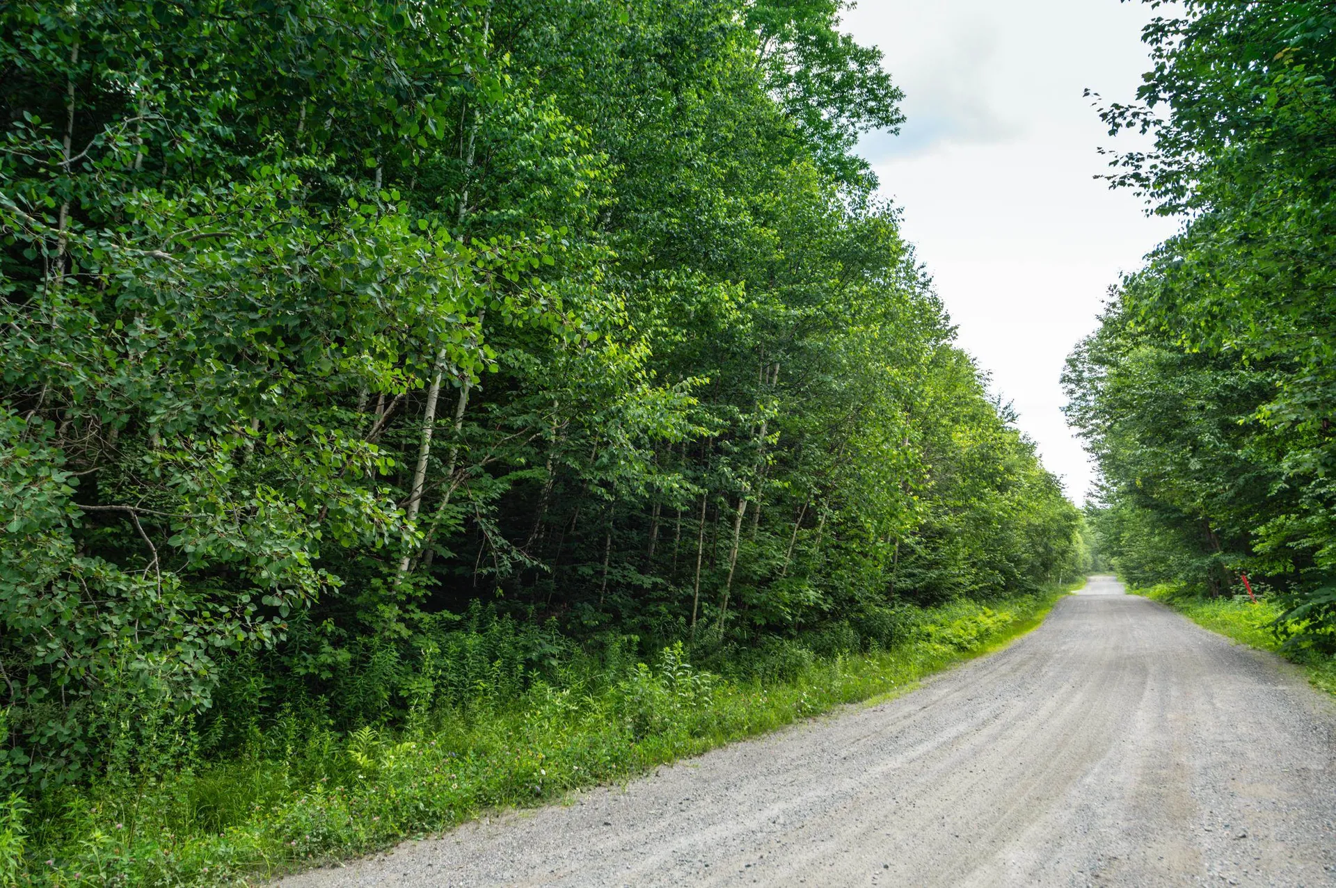 31 Woodsman Road Dover VT 05356