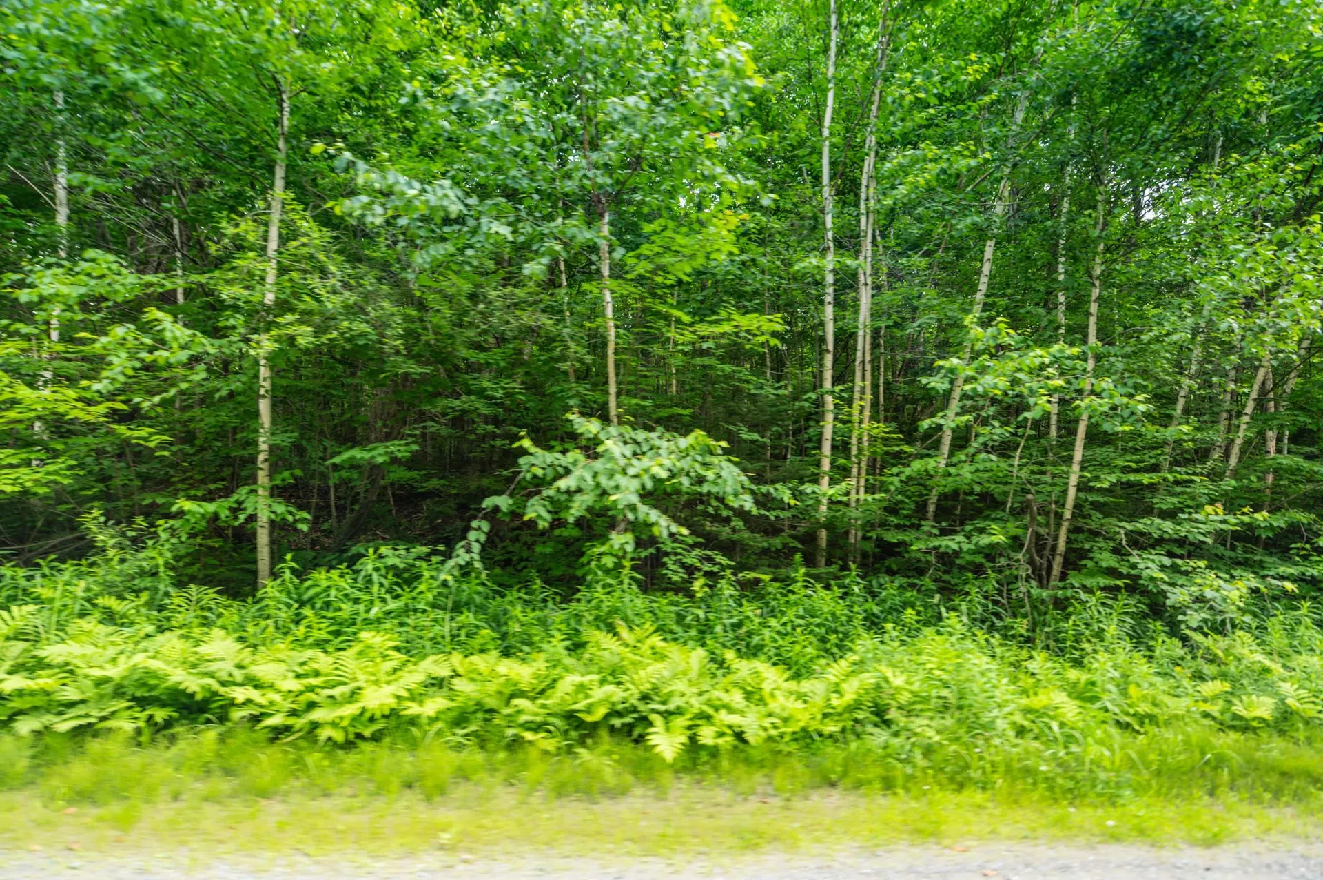 31 Woodsman Road Dover VT 05356