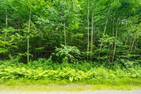 31 Woodsman Road Dover VT 05356