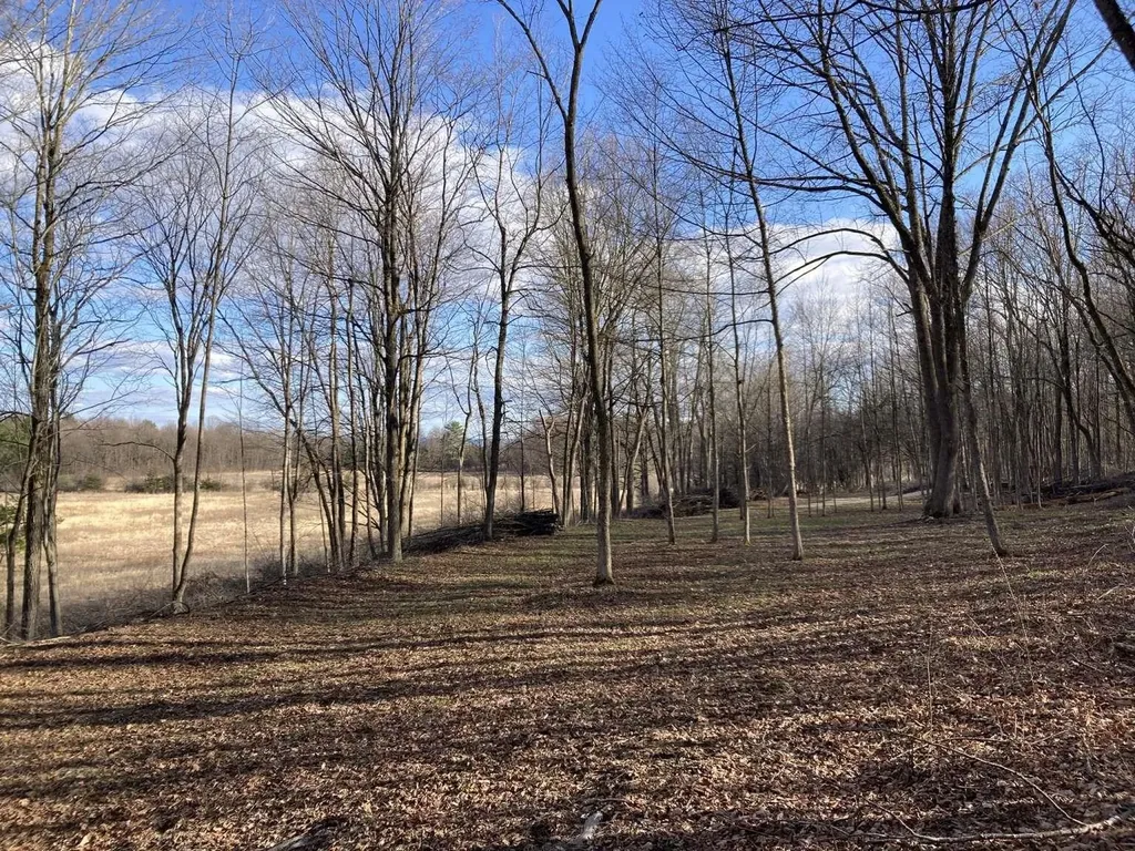 0 Barnes Road Whiting VT 05778