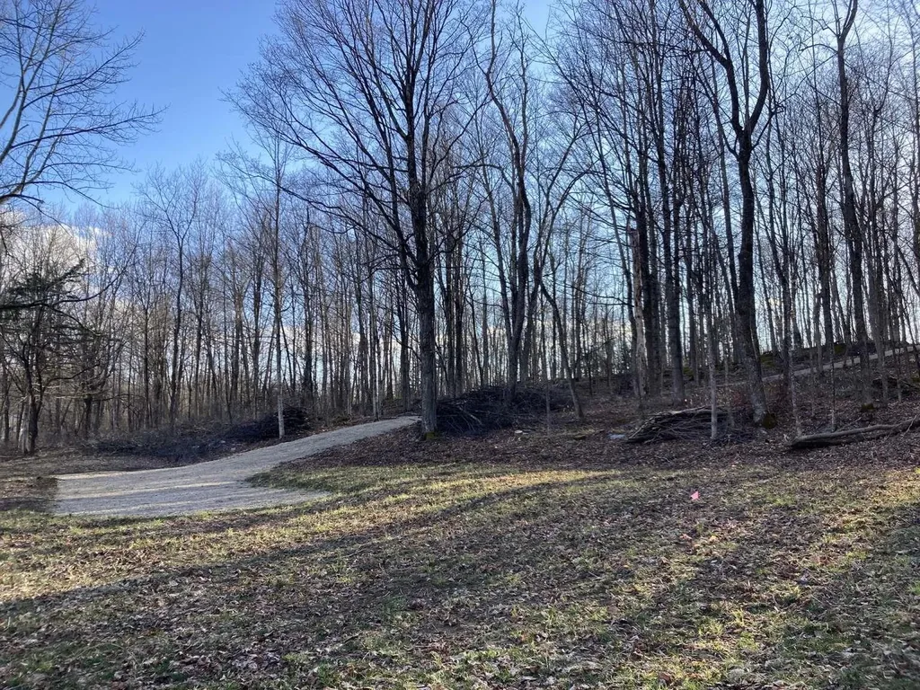 0 Barnes Road Whiting VT 05778