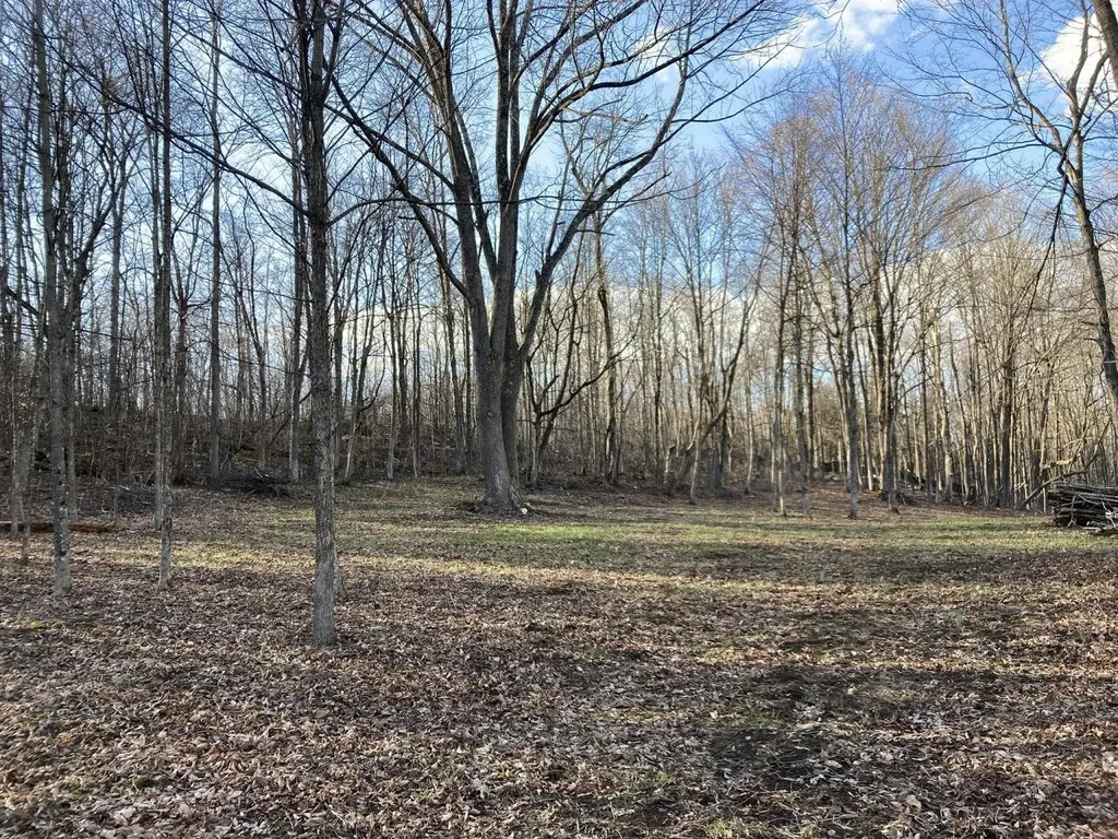 0 Barnes Road Whiting VT 05778