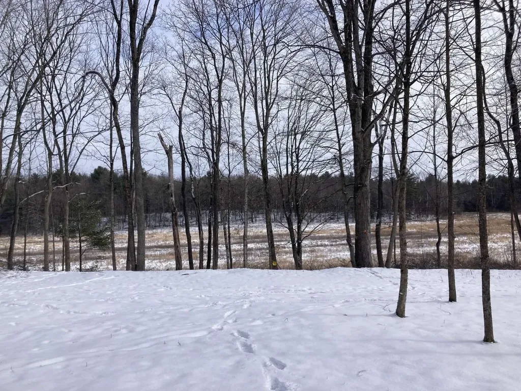 0 Barnes Road Whiting VT 05778