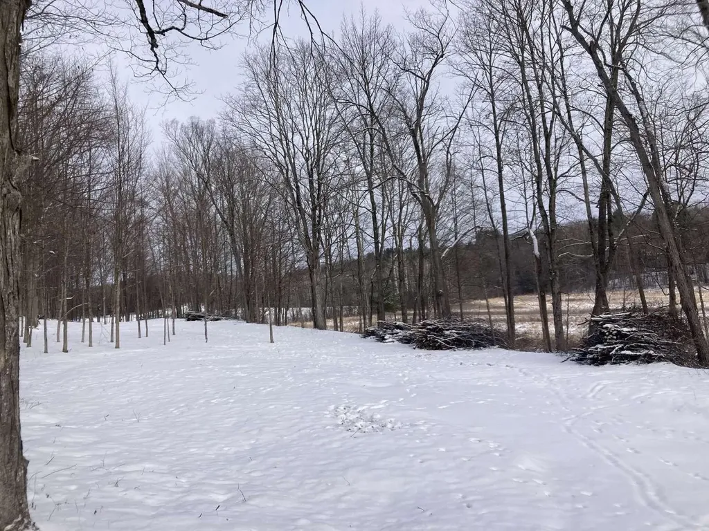 0 Barnes Road Whiting VT 05778