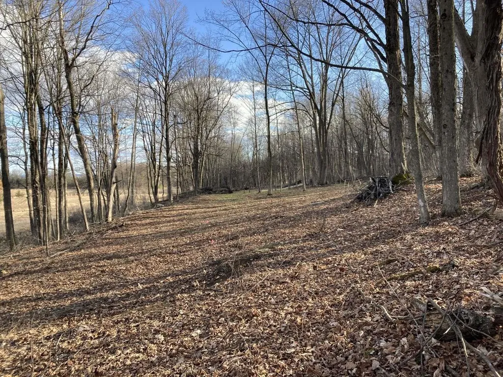 0 Barnes Road Whiting VT 05778