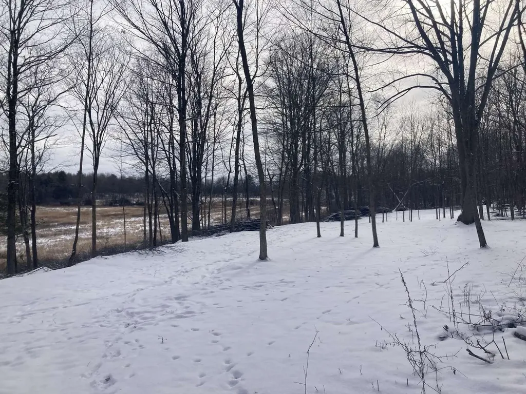 0 Barnes Road Whiting VT 05778