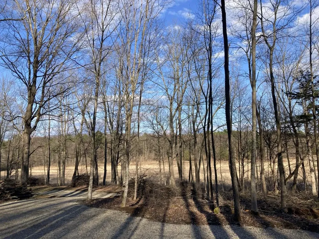 0 Barnes Road Whiting VT 05778