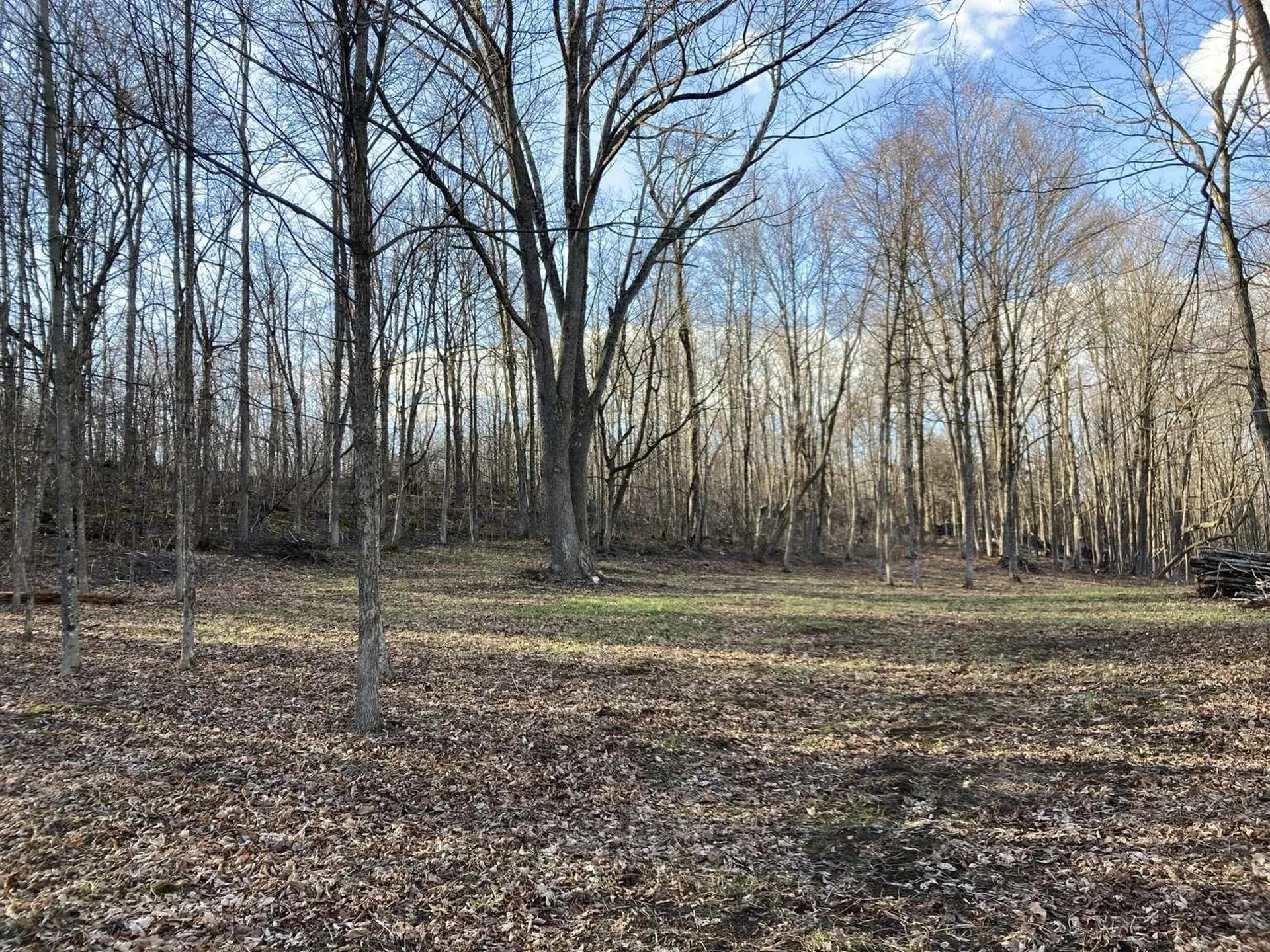 0 Barnes Road Whiting VT 05778