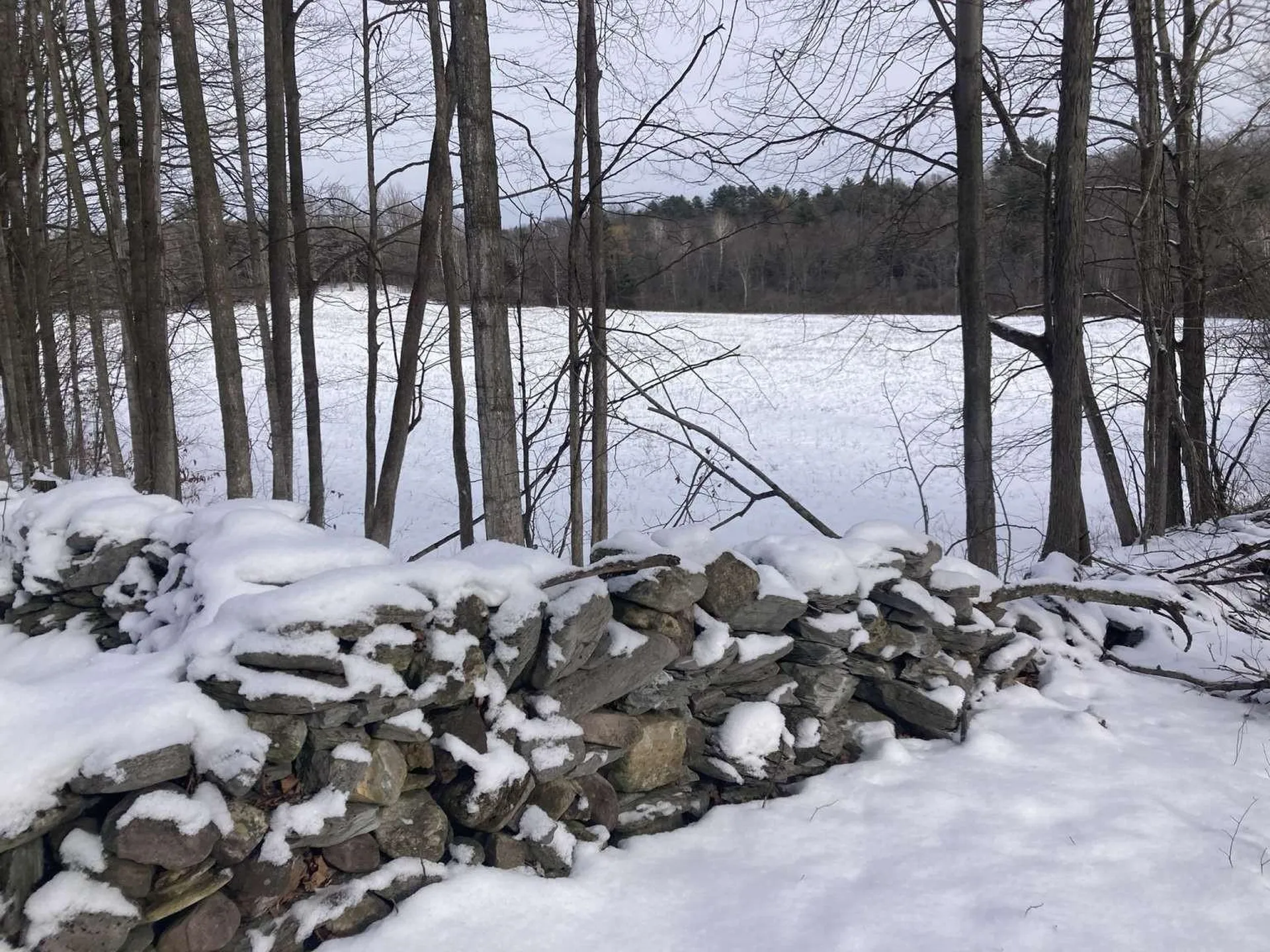 0 Barnes Road Whiting VT 05778