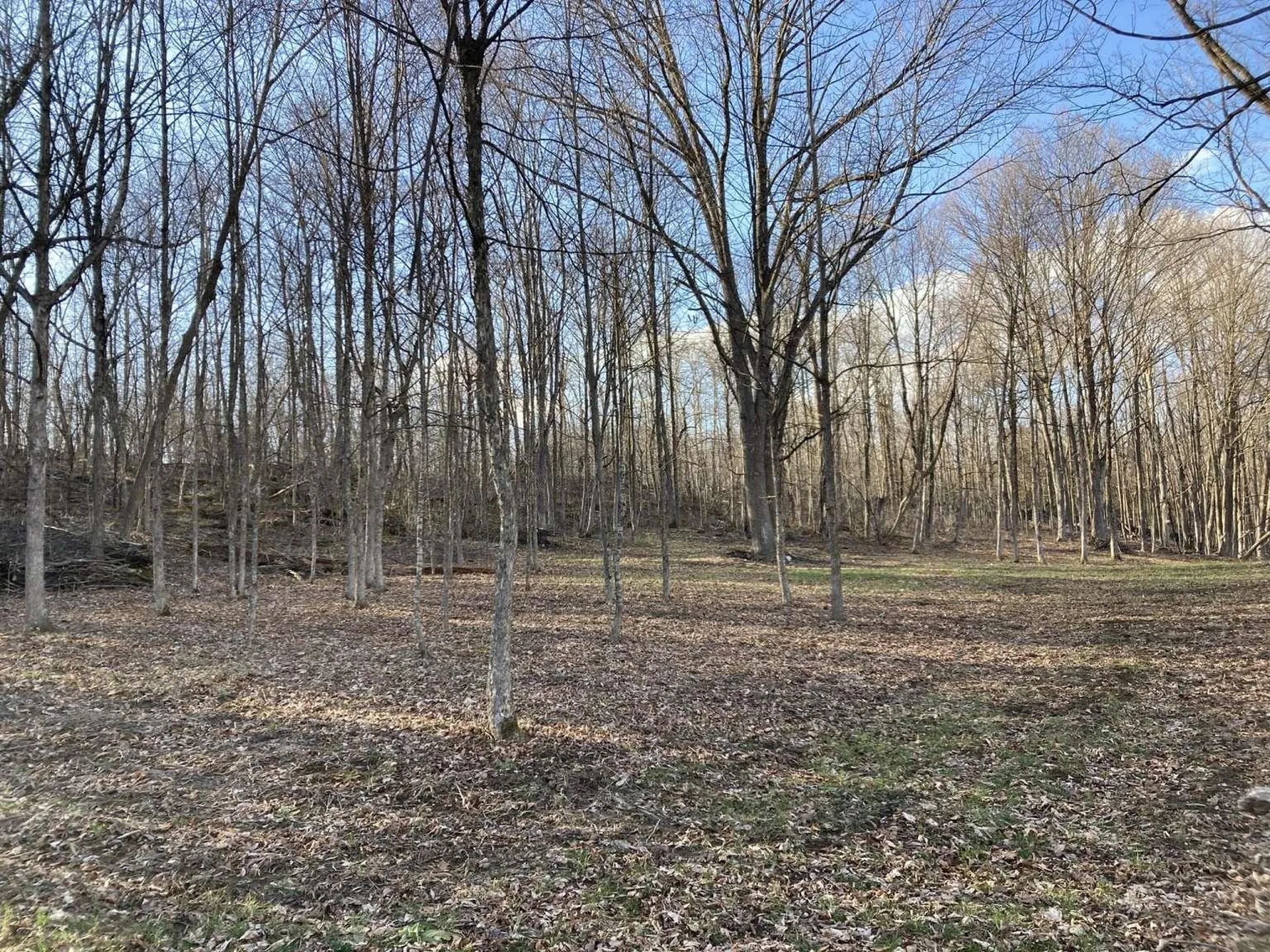 0 Barnes Road Whiting VT 05778