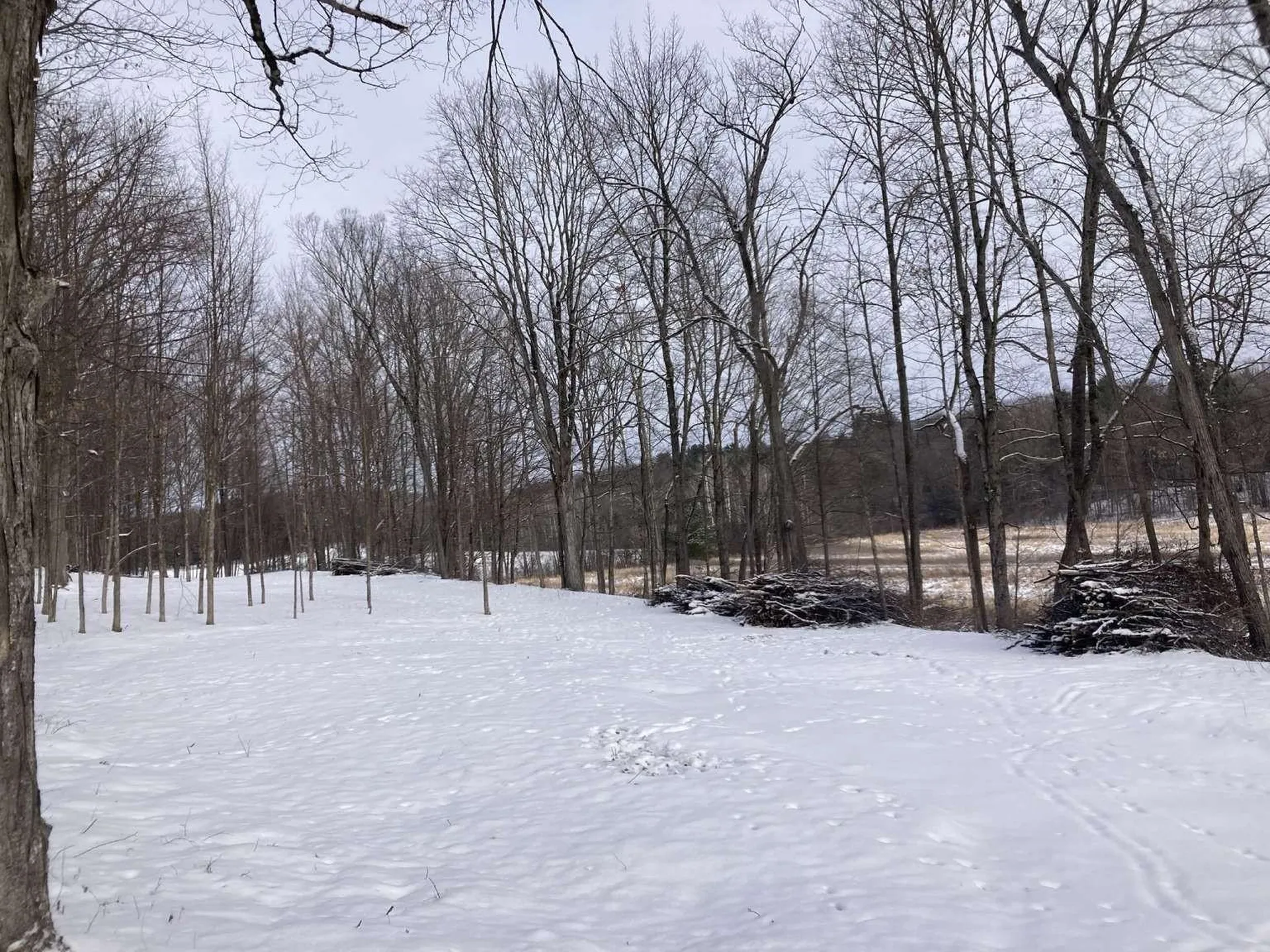 0 Barnes Road Whiting VT 05778