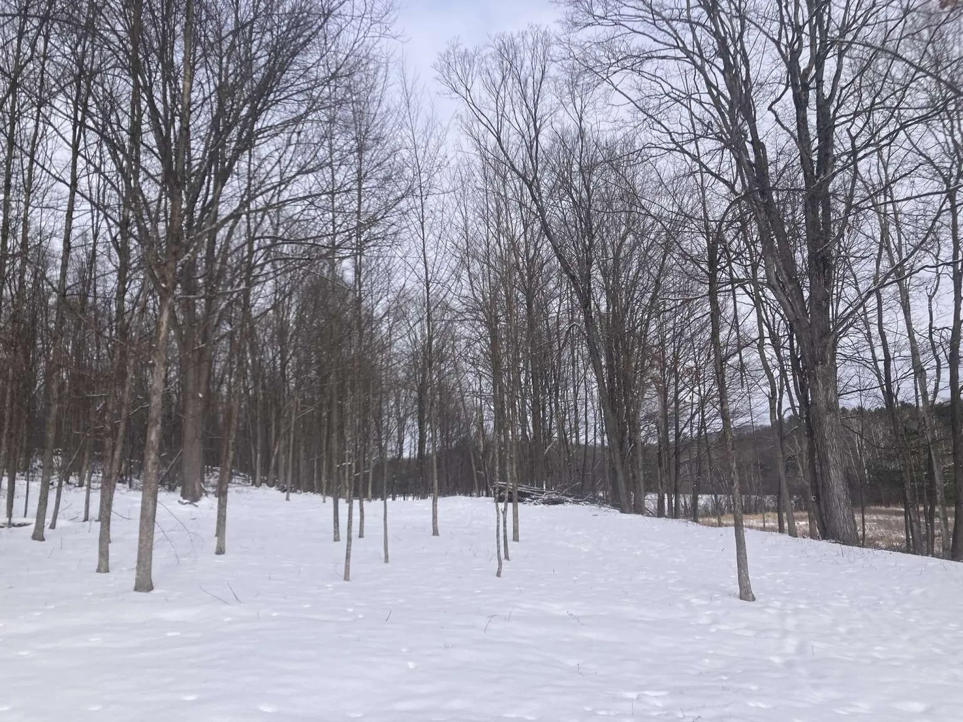 0 Barnes Road Whiting VT 05778