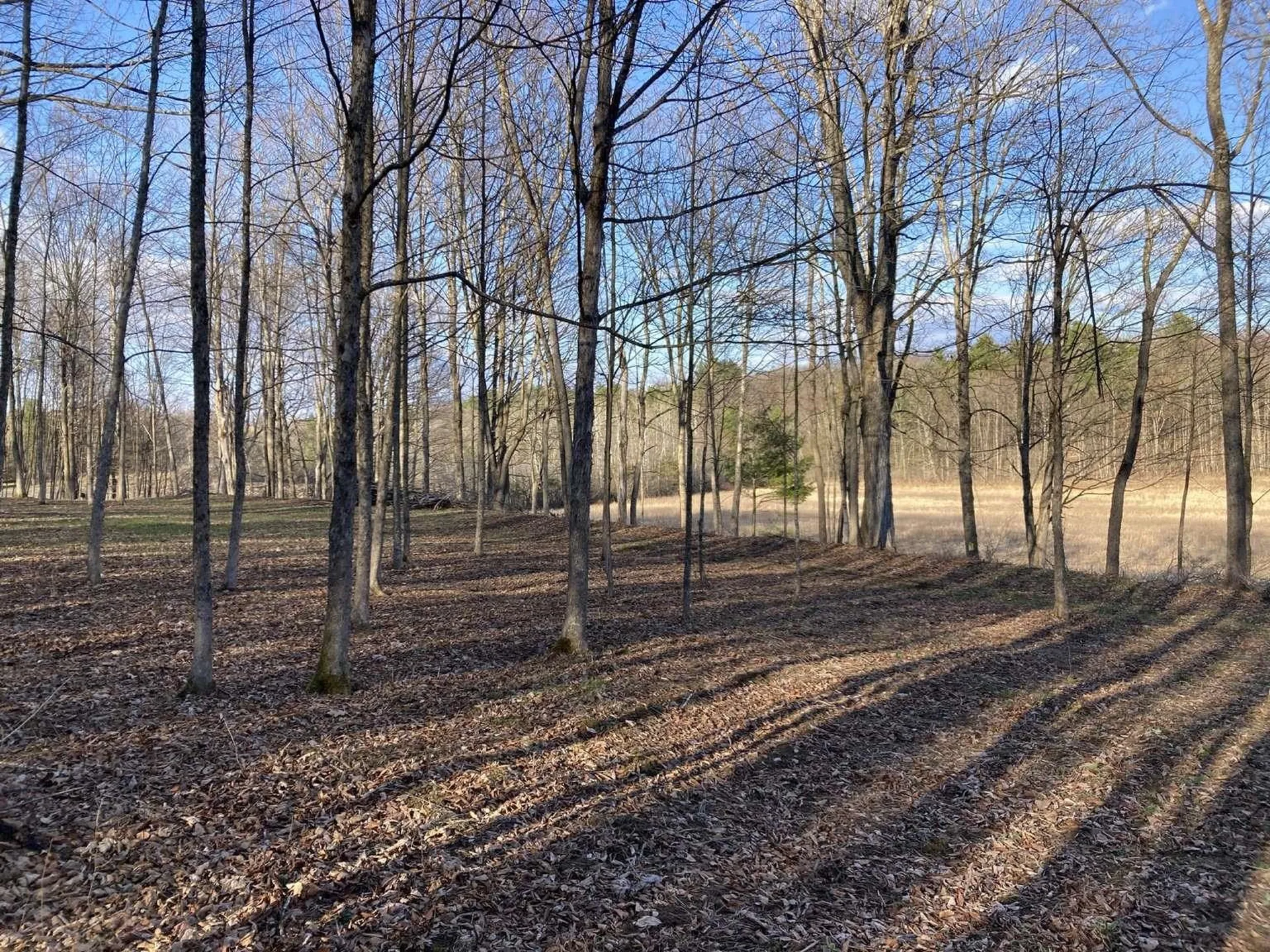 0 Barnes Road Whiting VT 05778