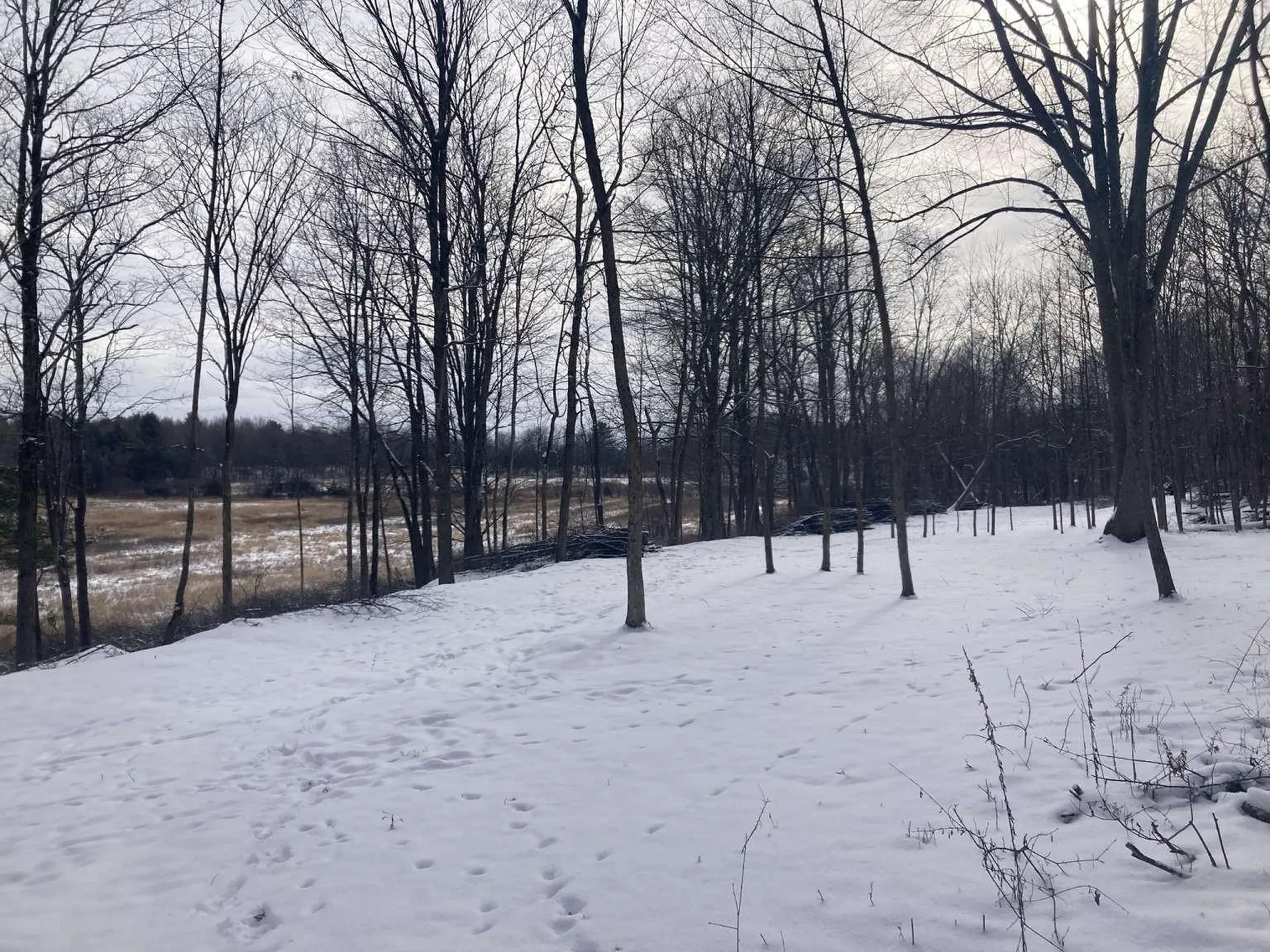 0 Barnes Road Whiting VT 05778