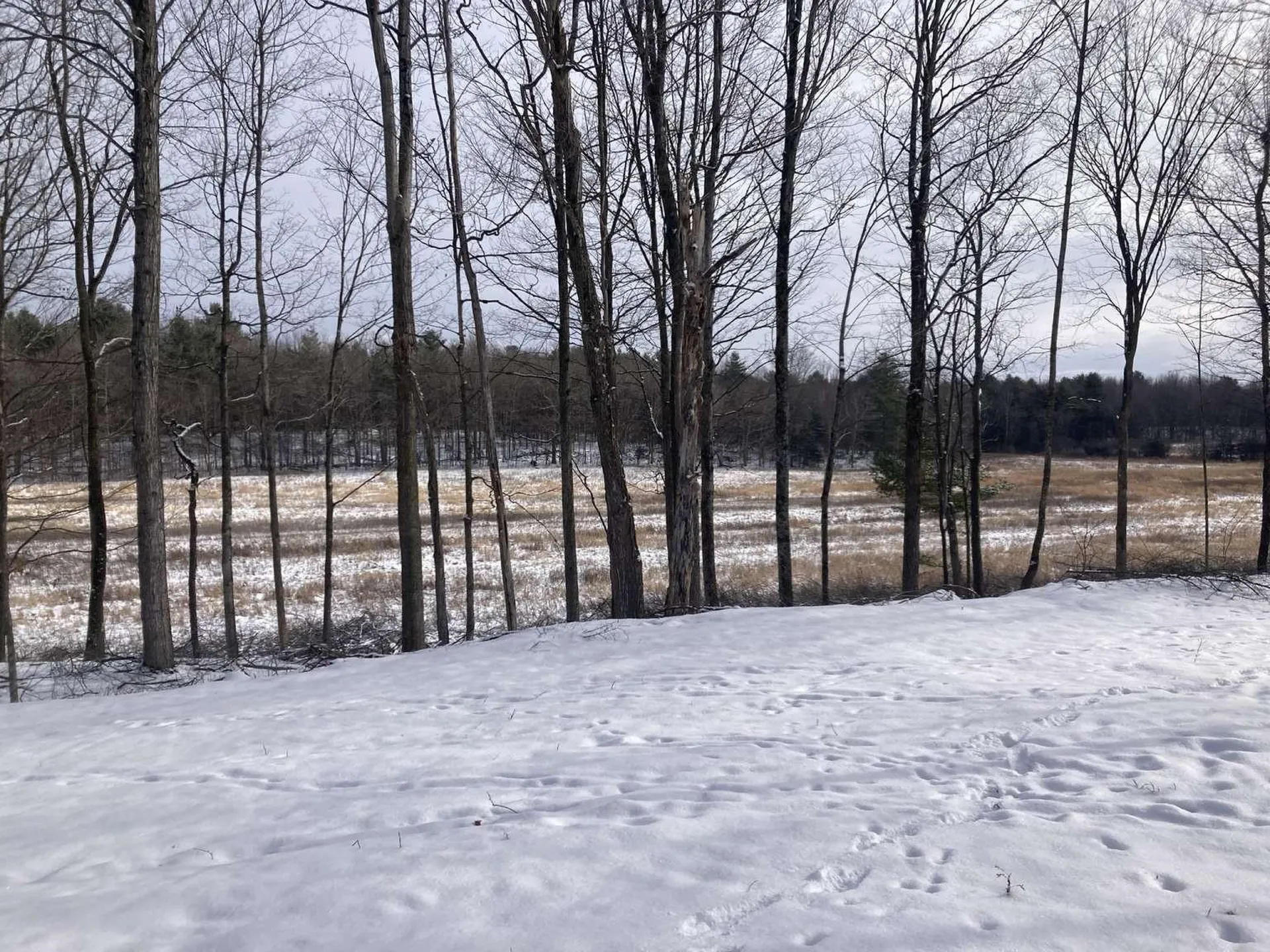 0 Barnes Road Whiting VT 05778