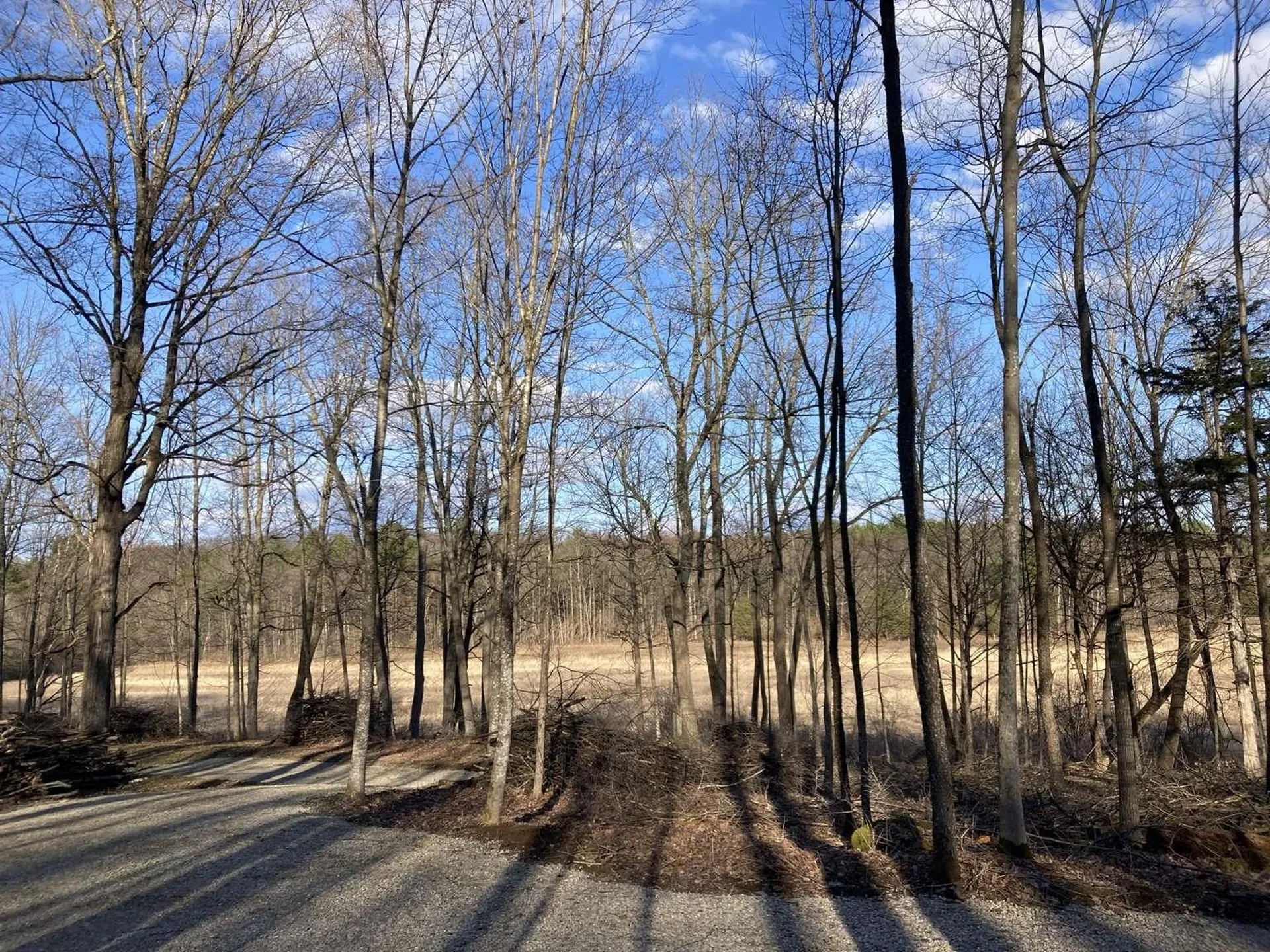 0 Barnes Road Whiting VT 05778