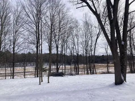 0 Barnes Road Whiting VT 05778