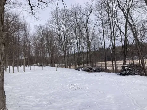 0 Barnes Road Whiting VT 05778