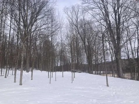 0 Barnes Road Whiting VT 05778