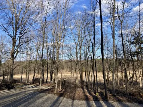 0 Barnes Road Whiting VT 05778